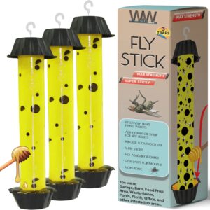 Fly Traps